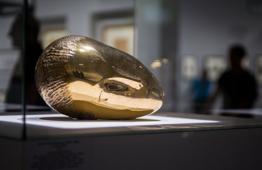 Музей постарался соединить в одном пространстве различные направления работы Бранкузи – скульптуру, фото и рисунки