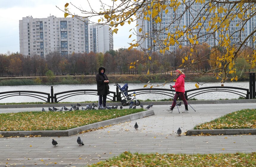 Территория парка вытянута вдоль левого берега Москвы-реки