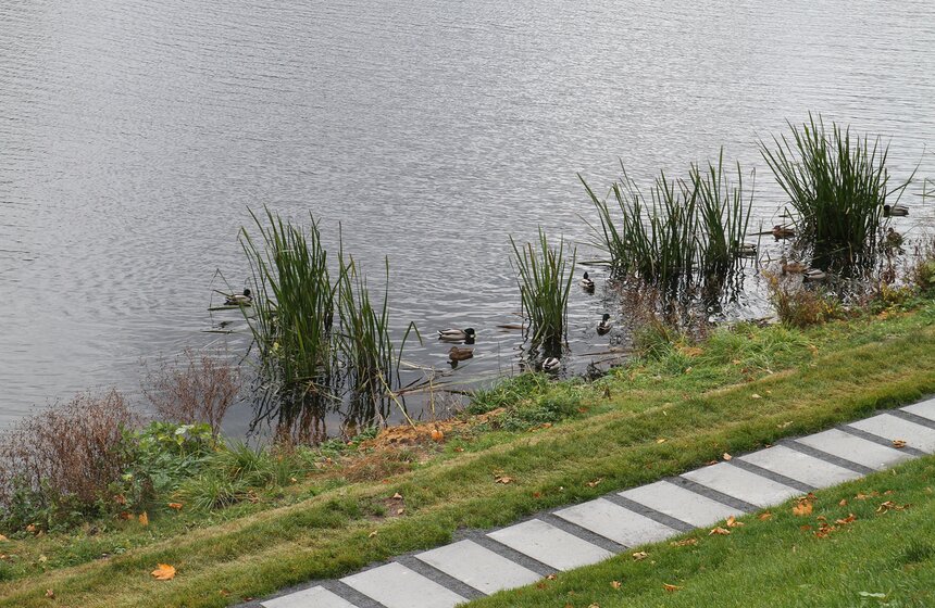 Обновленный парк совмещает в себе технологичность цивилизации естественность дикой природы