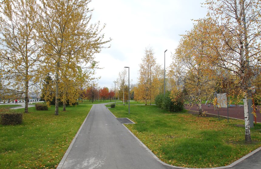 На территории всего парка проложены заасфальтированные пешеходные дорожки, что даст возможность с комфортом гулять в парке в любое время года