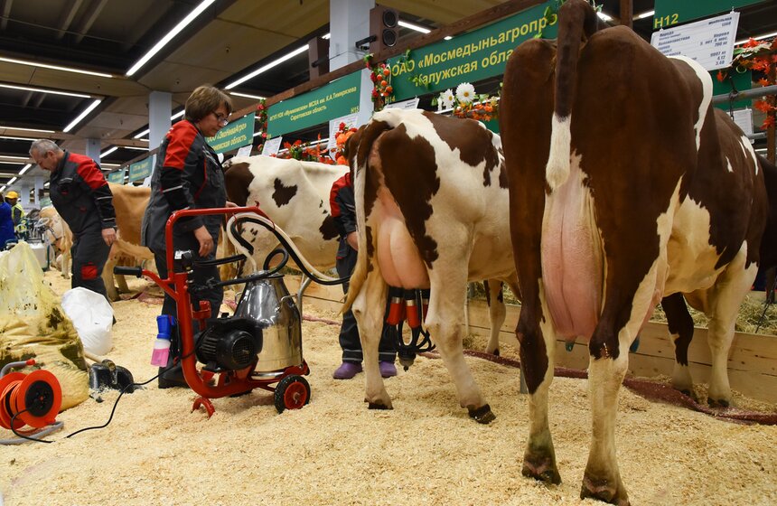 Современные технологии – важная часть процесса получения качественного продукта