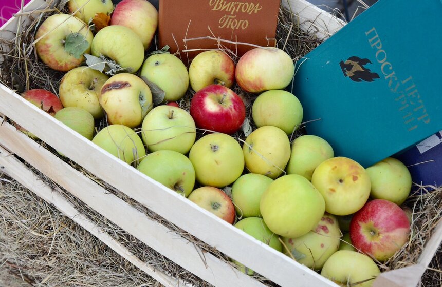 Фестиваль "Sолома" прошел в саду "Эрмитаж" 6 фото