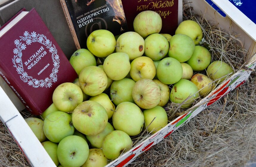 Фестиваль "Sолома" прошел в саду "Эрмитаж" 7 фото