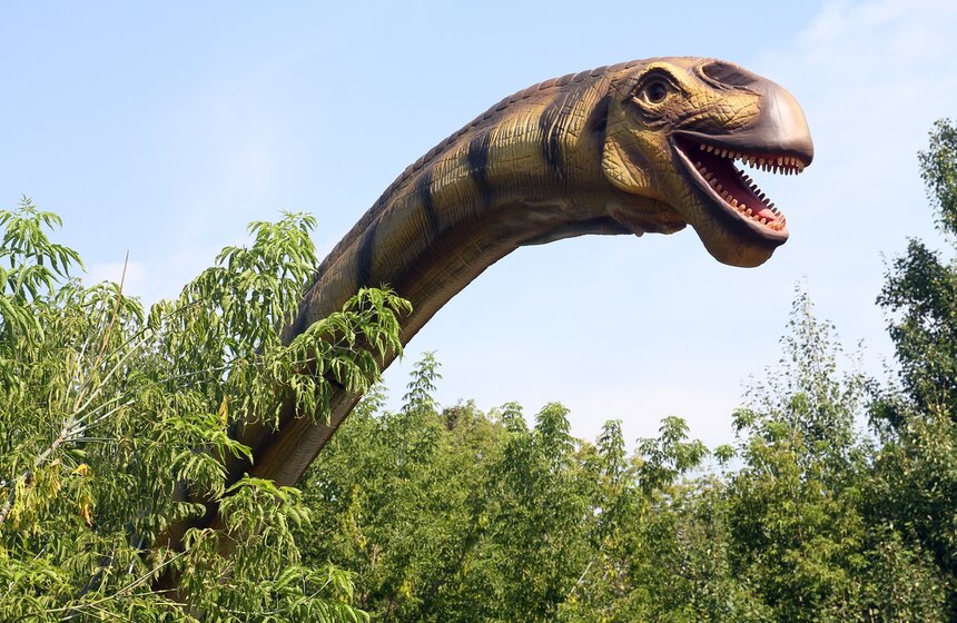 Открытие самого большого парка динозавров в Москве. Фото 5 фото