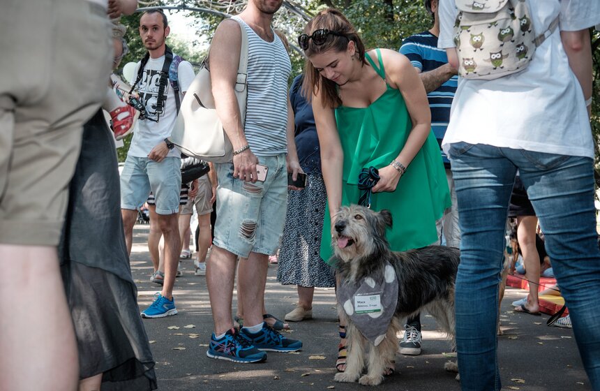 Фестиваль "Домой" в парке "Красная Пресня" 5 фото