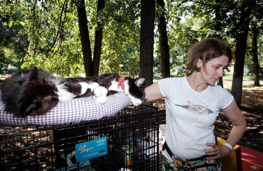 Фестиваль "Домой" в парке "Красная Пресня" 11 фото