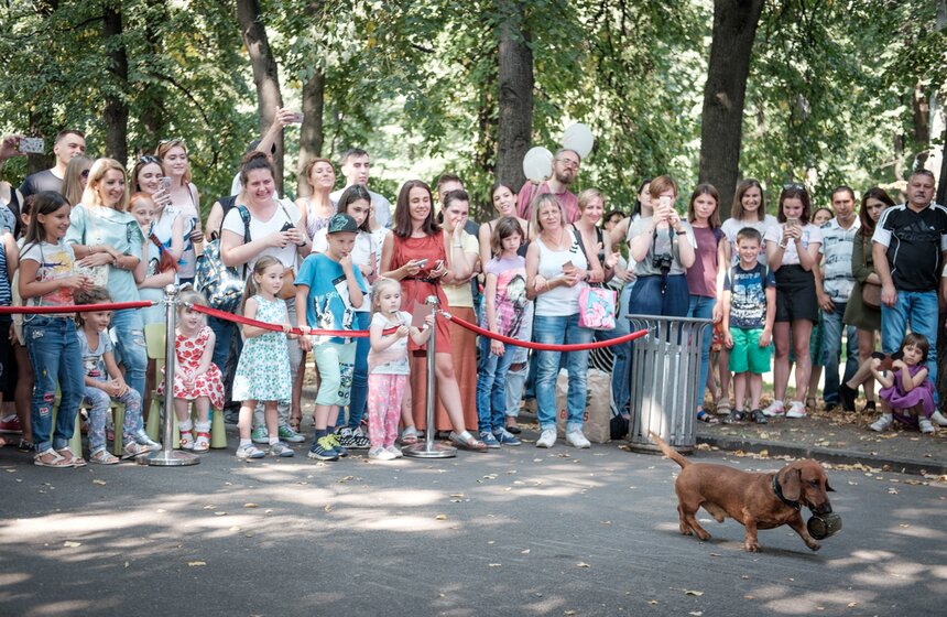 Фестиваль "Домой" в парке "Красная Пресня" 10 фото