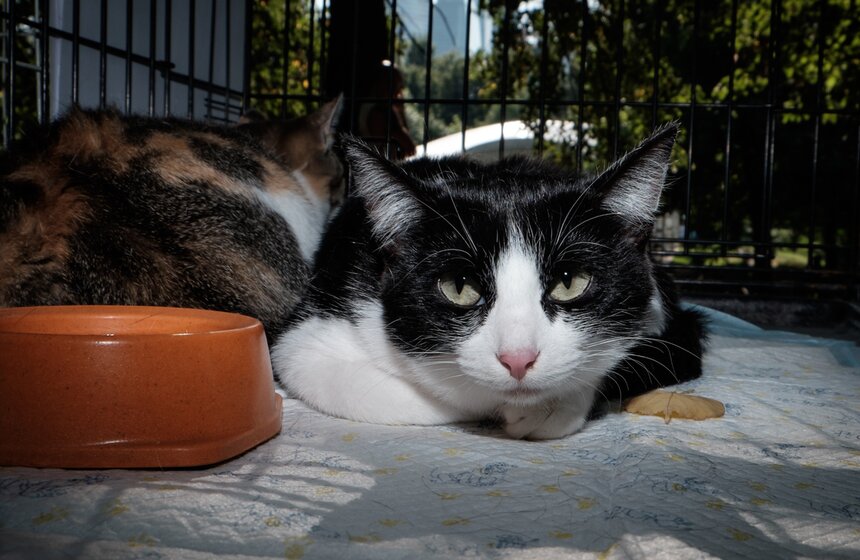 Фестиваль "Домой" в парке "Красная Пресня" 16 фото