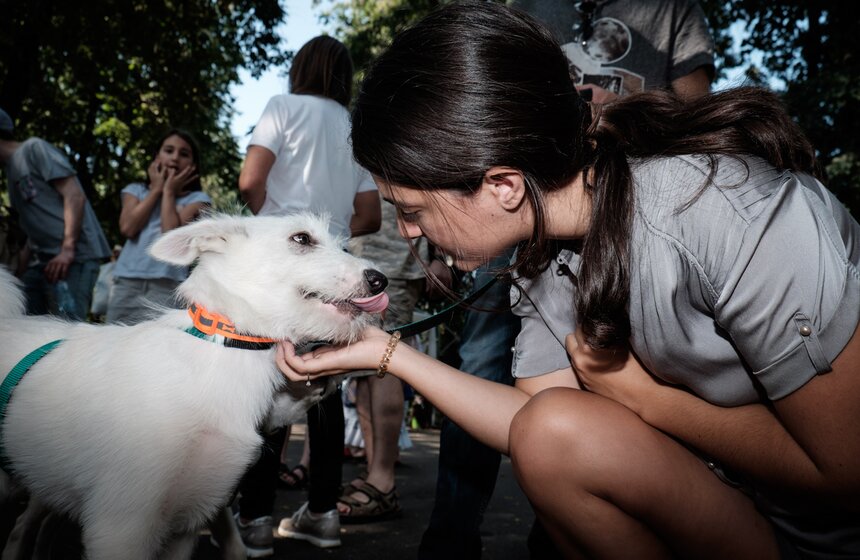 Фестиваль "Домой" в парке "Красная Пресня" 18 фото