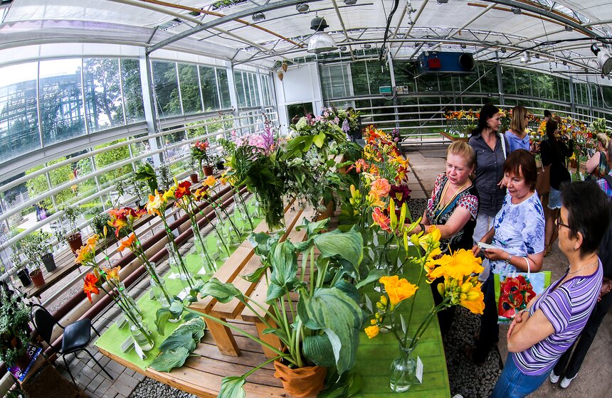 Выставка лилейников прошла в "Аптекарском огороде" 15 фото