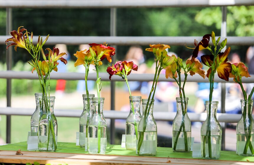 Выставка лилейников прошла в "Аптекарском огороде" 2 фото