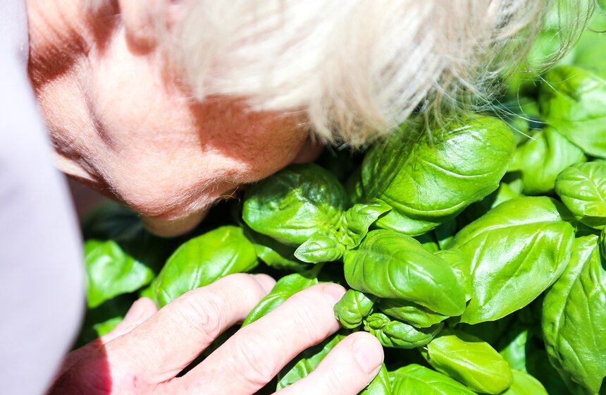 "Сенсорный сад пяти чувств" открылся в столице 4 фото