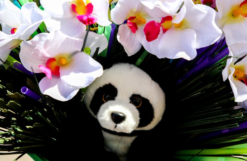 Парад "Леди на велосипеде" прошел в "Сокольниках" 3 фото