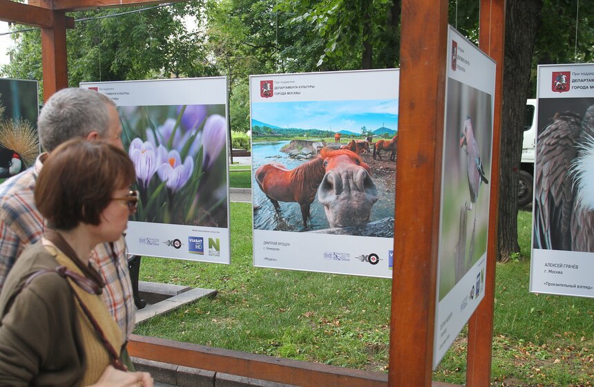 Выставка "Природа смотрит на тебя" открылась в центре Москвы 10 фото