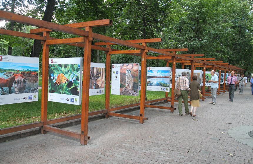 Выставка "Природа смотрит на тебя" открылась в центре Москвы 1 фото