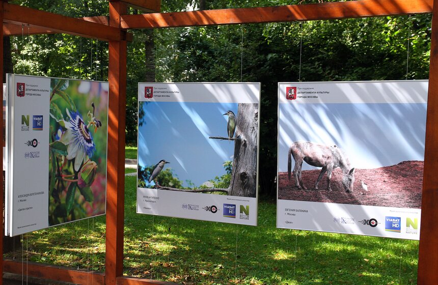 Выставка "Природа смотрит на тебя" открылась в центре Москвы 4 фото