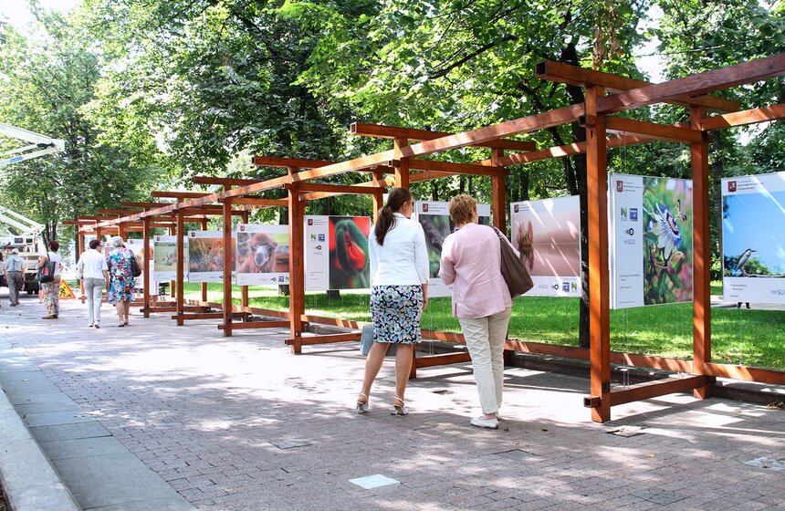 Выставка "Природа смотрит на тебя" открылась в центре Москвы 5 фото