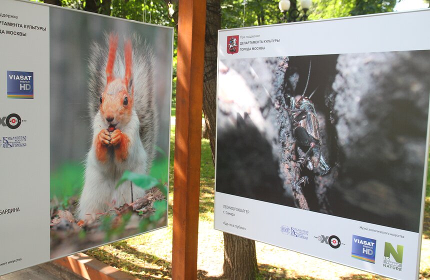 Выставка "Природа смотрит на тебя" открылась в центре Москвы 8 фото
