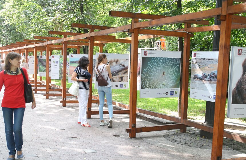Выставка "Природа смотрит на тебя" открылась в центре Москвы 11 фото