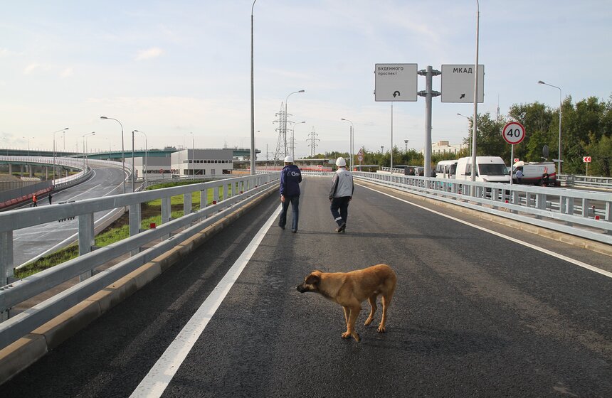 Собянин открыл эстакады сложнейшей транспортной развязки на востоке Москвы 3 фото
