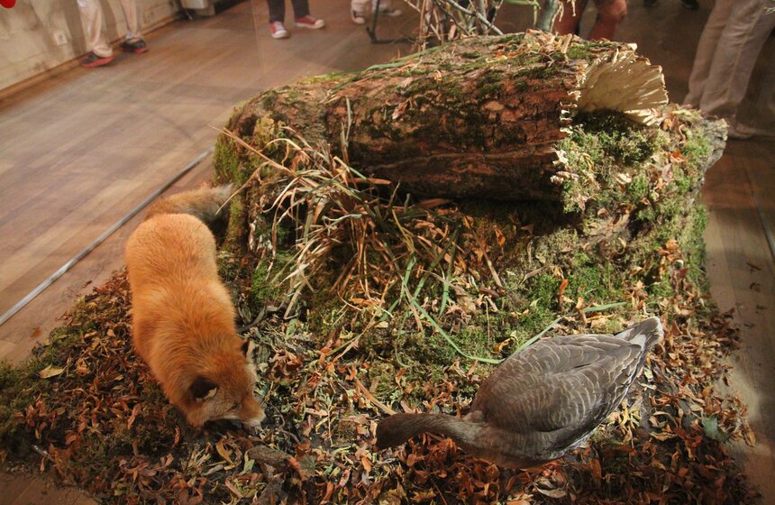 Выставка "С ружьем и лирой" открылась в столичном музее 2 фото