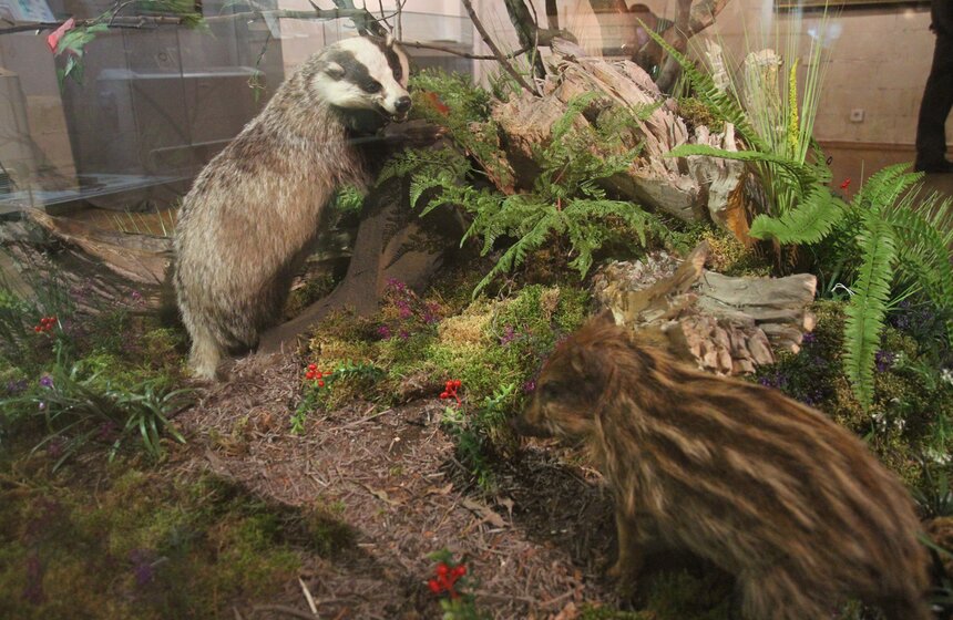 Выставка "С ружьем и лирой" открылась в столичном музее 9 фото