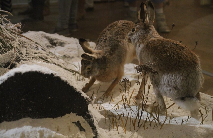 Выставка "С ружьем и лирой" открылась в столичном музее 14 фото