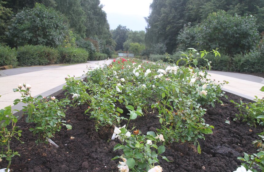 Собянин осмотрел ход работ в парке "Сад будущего" в Ростокине 9 фото
