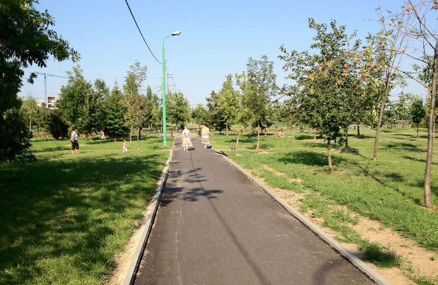 Строящаяся в ЮВАО велодорожка не устраивает жителей 2 фото