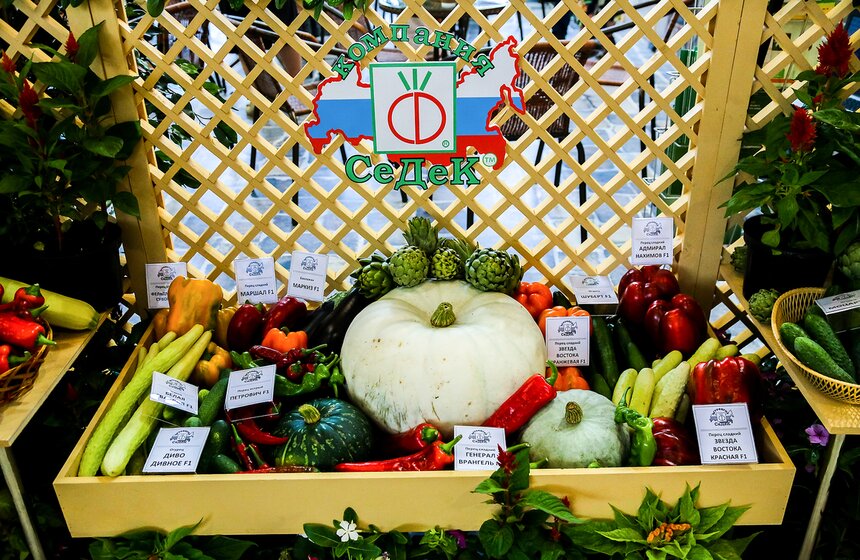 Международная выставка "Цветы–2017" на ВДНХ 19 фото