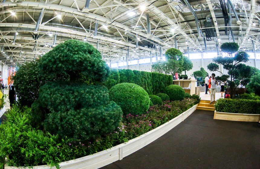 Международная выставка "Цветы–2017" на ВДНХ 27 фото