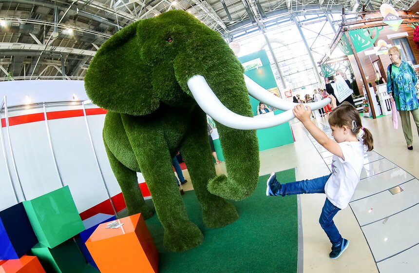 Международная выставка "Цветы–2017" на ВДНХ 25 фото