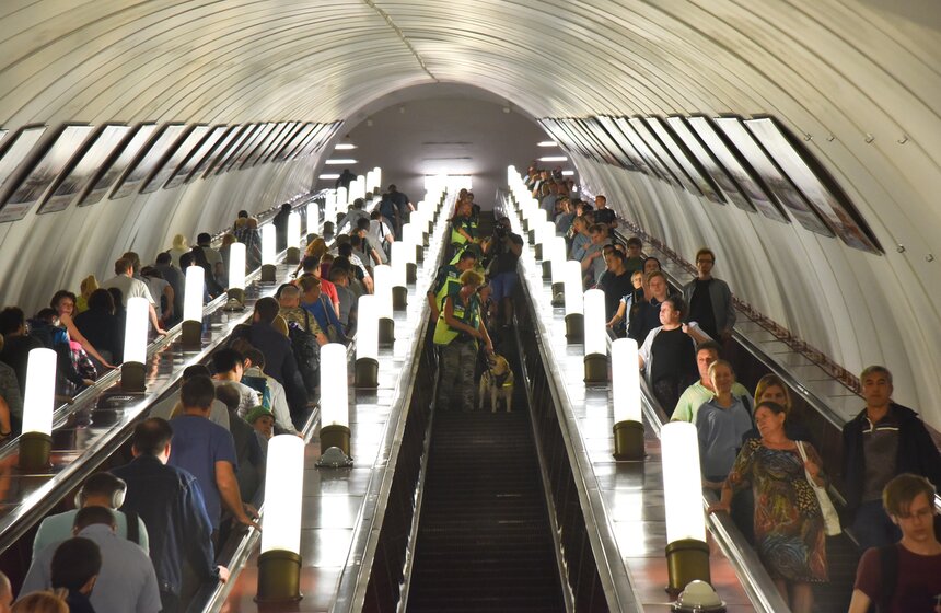 Обучение собак-проводников для сопровождения незрячих в метро 8 фото