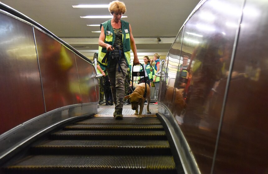 Обучение собак-проводников для сопровождения незрячих в метро 20 фото