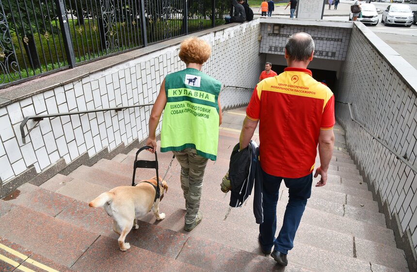 Обучение собак-проводников для сопровождения незрячих в метро 14 фото