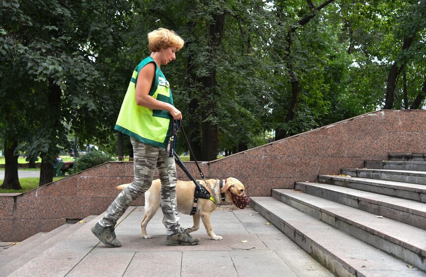 Обучение собак-проводников для сопровождения незрячих в метро 13 фото