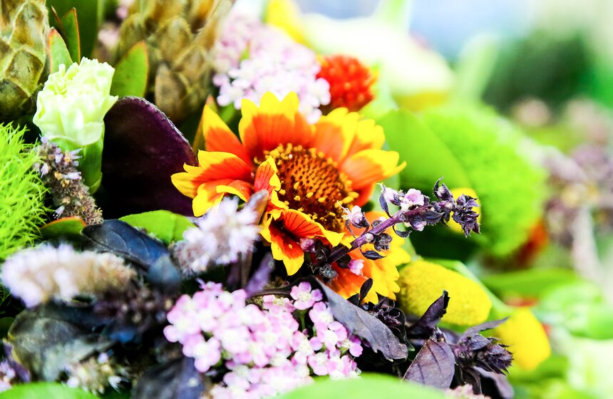 Международная выставка "Цветы–2017" на ВДНХ 15 фото