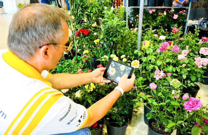 Международная выставка "Цветы–2017" на ВДНХ 14 фото
