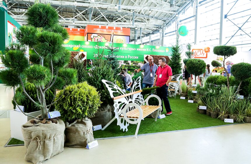 Международная выставка "Цветы–2017" на ВДНХ 7 фото