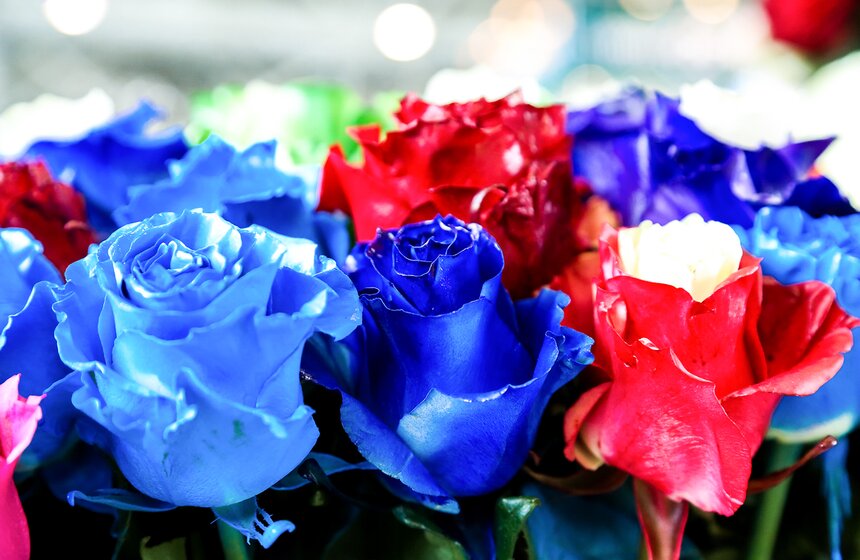 Международная выставка "Цветы–2017" на ВДНХ 6 фото