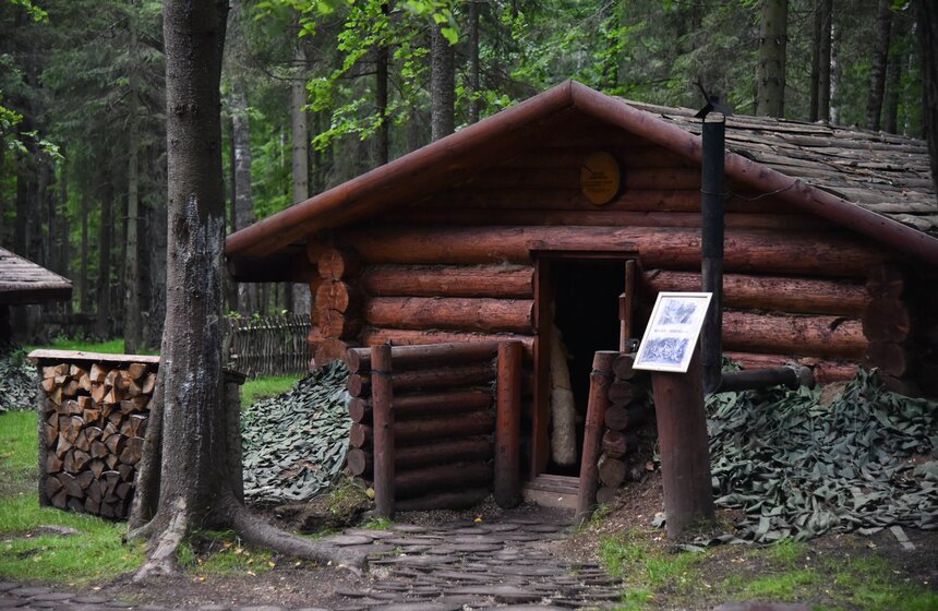 "Армия" гражданских: как жили и воевали партизаны 18 фото