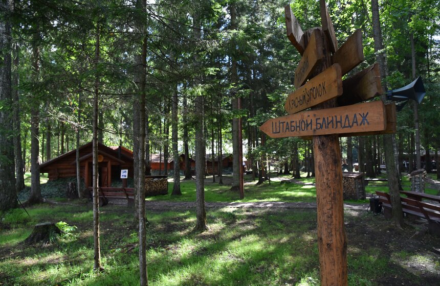 "Армия" гражданских: как жили и воевали партизаны 3 фото