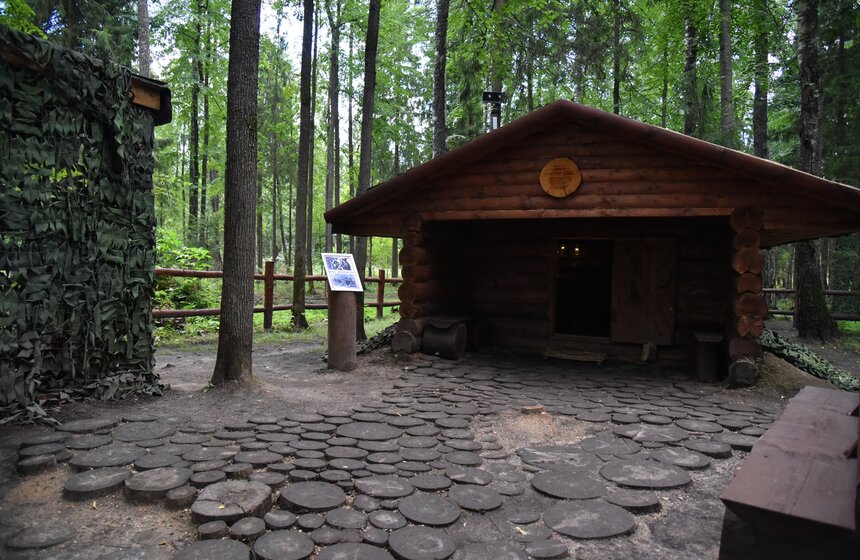 "Армия" гражданских: как жили и воевали партизаны 11 фото