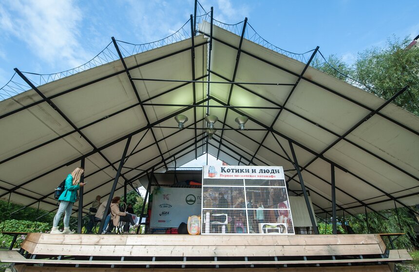 В Аптекарском огороде открылось котокафе "Котики и люди" 14 фото