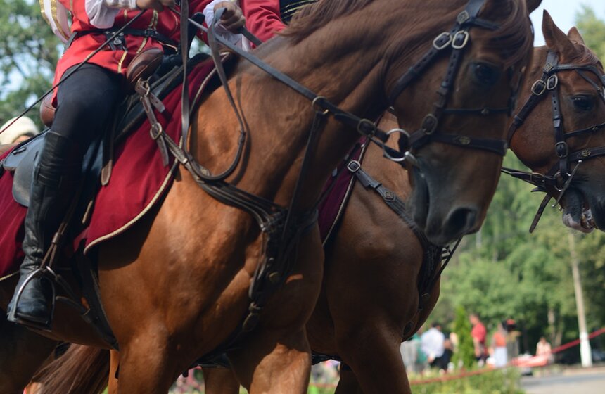 В Измайловском и Перовском парках состоялось конное шоу 9 фото