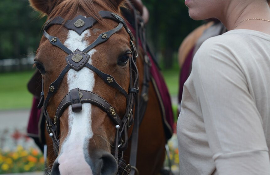 В Измайловском и Перовском парках состоялось конное шоу 2 фото