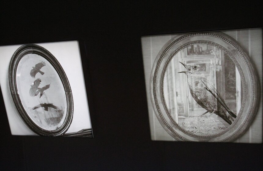 Вернисаж из трех выставок открылся на ВДНХ 39 фото