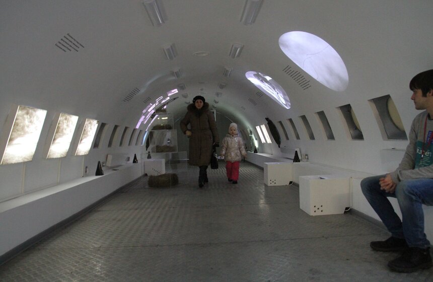 Вернисаж из трех выставок открылся на ВДНХ 34 фото