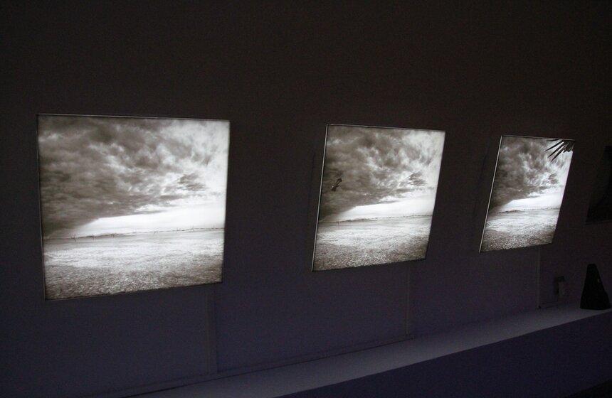 Вернисаж из трех выставок открылся на ВДНХ 35 фото