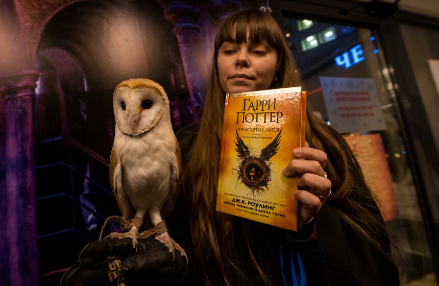 Алексей Немерюк открыл книжную ярмарку "Букмаркет" 4 фото